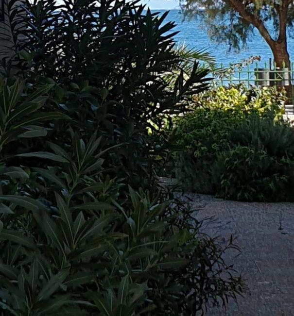 Garden Lefkanti, 4season Plaza Room Lefkandi Chalkidas Exterior foto